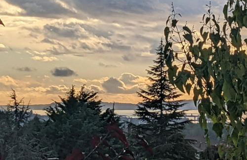 New Ridge View Marysville 3 beds 2 baths - Foto 23