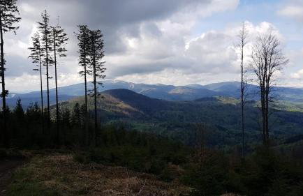Pod Srebrzystym Świerkiem - Jacuzzi - Foto 43