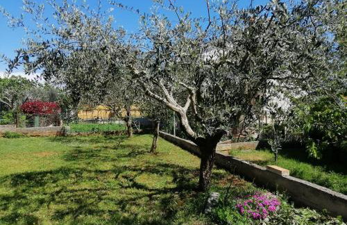 Apartman Suzy - Photo 12