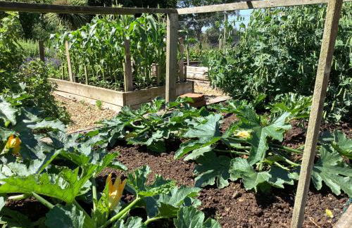 The Retreat, Clematis cottages, Stamford - Foto 39