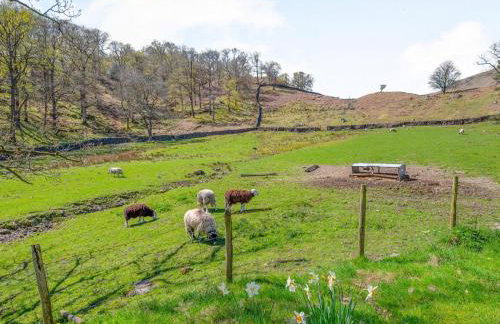 3 Bed in Keswick oc-sz234 - Foto 15