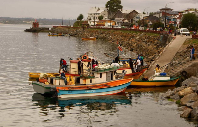 Excursion privée sur l'île Calbuco - Photo 4