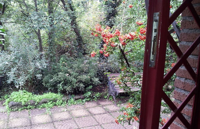 Cirasellaetna - Foto 16