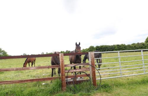 Flagstone Cottage - Photo 15
