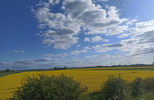 Landblick - idyllische Wohnung an der Nordsee - Foto 8