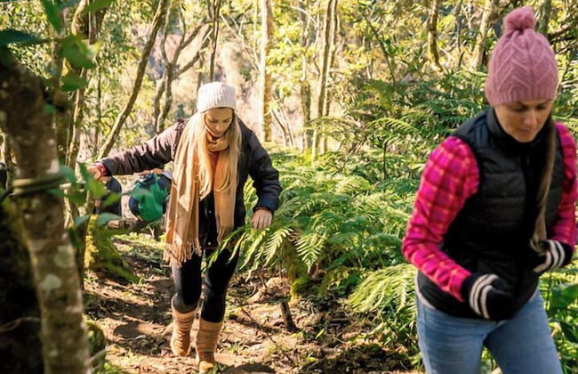 Sítio Mar de Nuvens Chalés de Luxo - Photo 73