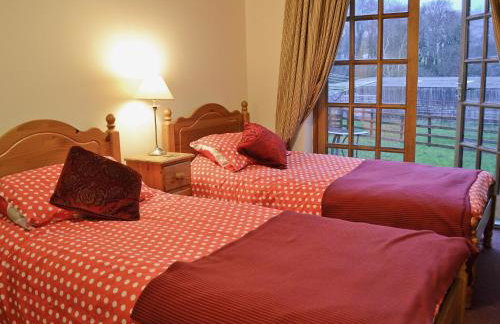 Dilys - 19076 - Foto 6