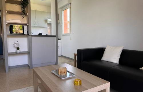 Charming one bedroom apartment, - pres des commerces et tram FIBRE wifi, Airbus MEET super location - Foto 4