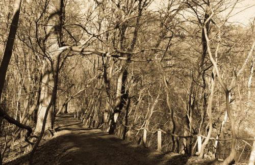 Ferienhaus Caputh - Foto 7