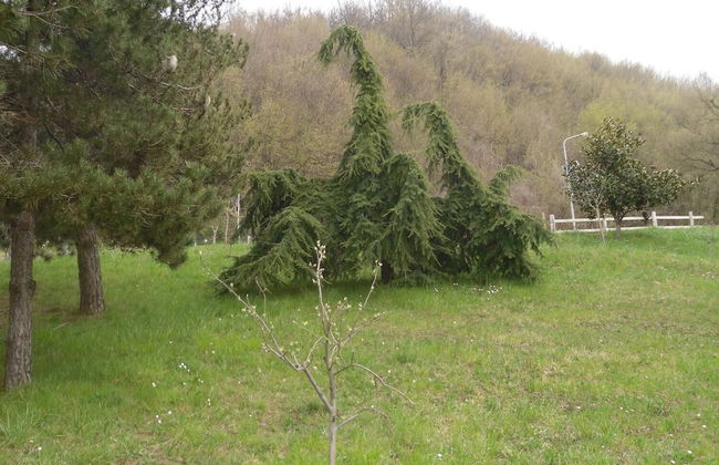 Agriturismo Le Giare - Foto 31