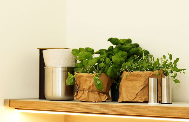 Chase Apartments Boutiquehotel Style I - Photo 45