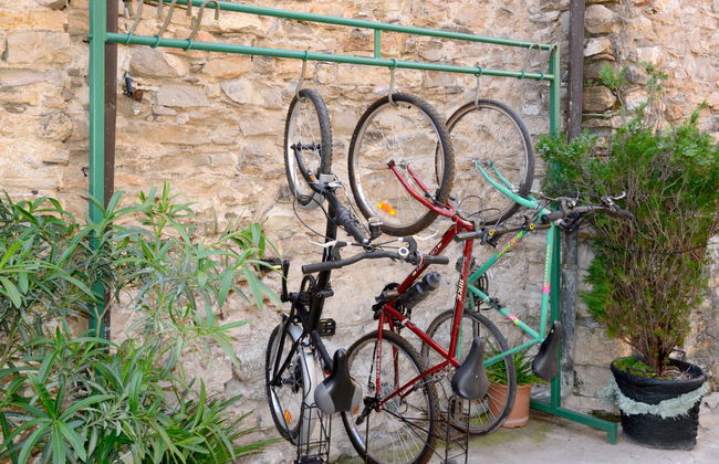 Daniela (DOL295) - Foto 24