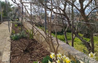 Apartment Pojatica Sumartin - Photo 12