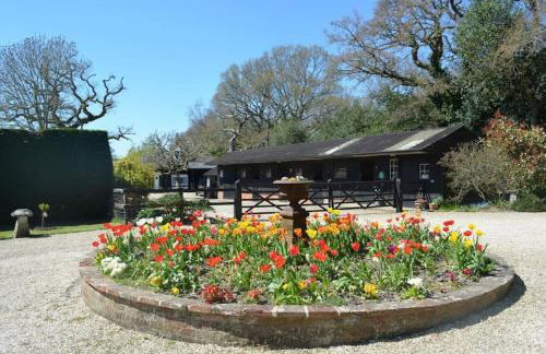 Holmans NEW FOREST - Photo 30