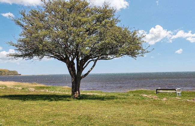 4 Star Holiday Home in Praesto - Foto 29