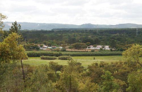 Quinta do Archino - Foto 21