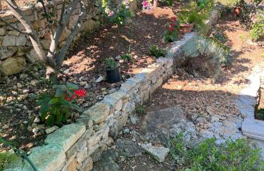 Apartments Despotović - Photo 26