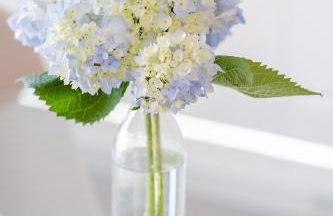 Boutique Rentals- Bliss By The Sea Apt- Ocean views in Foz Beach - Foto 25