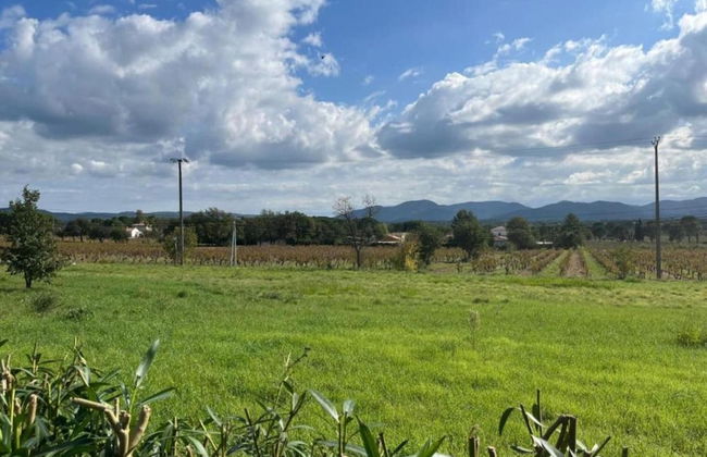 Villa in Vidauban With Pool & Vineyards Nearby - Foto 27