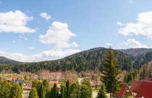 Perełka Bieszczady Domki - Photo 39