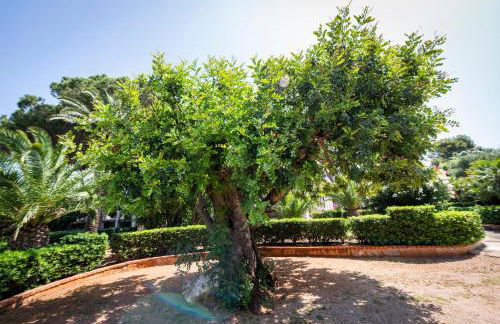 Casa del carrubo - Foto 20