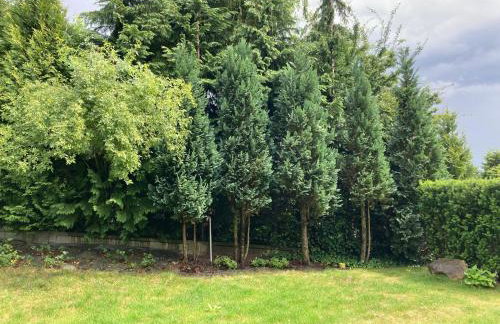 Kraków Green Hill Luxury Apartment - Foto 17