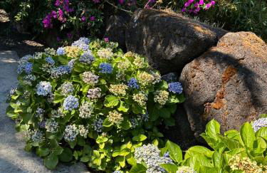 Holiday House, São Roque do Pico - Photo 25