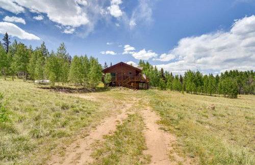 Private 5 Acres w/ Mtn Views: Park County Cabin! - Photo 35