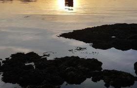 The Old Ferryhouse - Foto 43