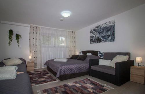 Apartamenty Bieszczady - Foto 45