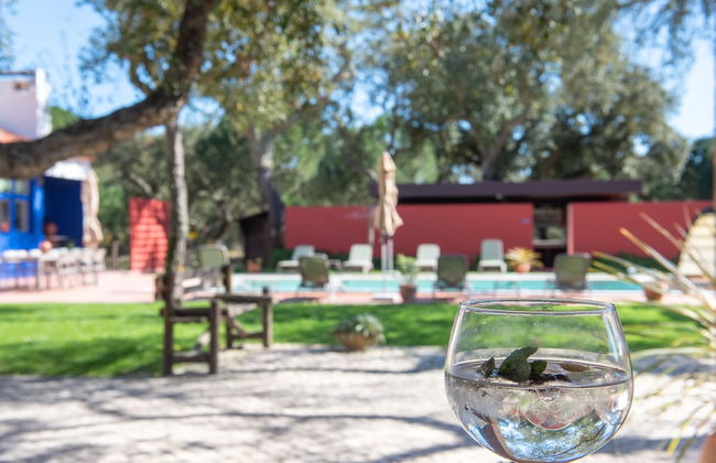 Herdade das Onzenas de Cima - Foto 26