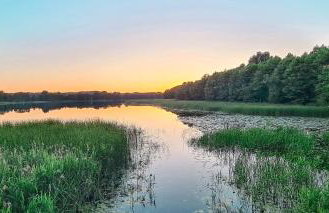 Domek letniskowy Wigsun - Foto 18