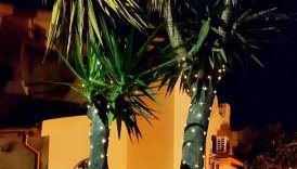 Villa Frantina - Foto 3, Garden