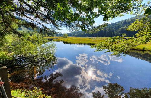 LE CHALET VOSGIEN bain nordique Kota Grill - Foto 25