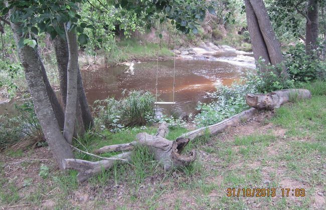 Swaynekloof Farm - Photo 39