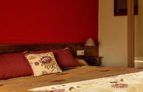 Mas d'Aravó - Photo 13