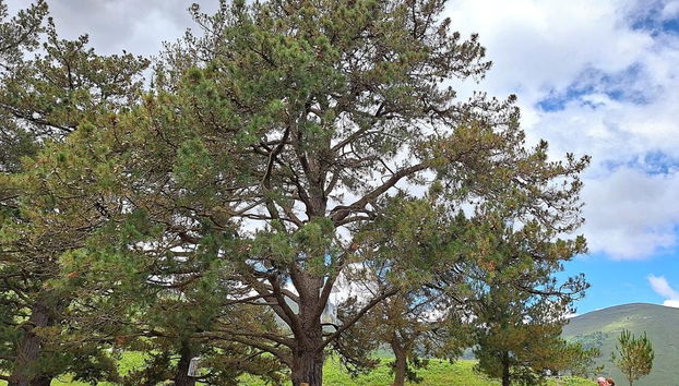 Explora el Precioso Pueblo de San Sebastián de Garabandal - Tour en Grupo Pequeño - Foto 4
