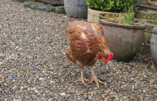 The Nail Shed - Foto 39