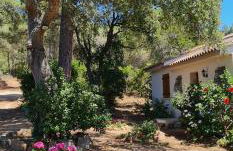 Villa pour4 pers à 700m de la plage de palombaggia - Foto 1