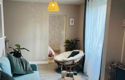 Charmant & Cosy T2 Toulousain - Foto 4