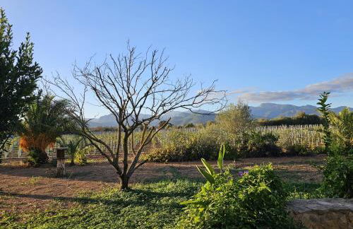 Finca La Preciosa - Photo 59