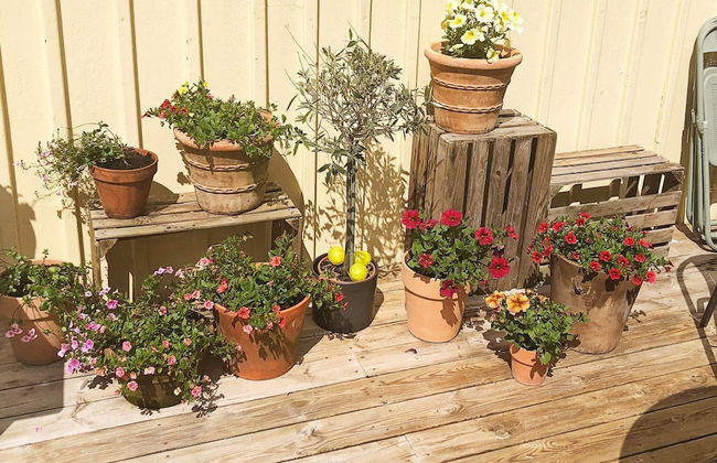 8 Person Holiday Home in Klovedal-by Traum - Photo 19