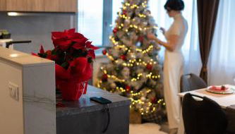 7 SKY UDINE - Foto 2