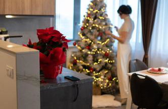 7 SKY UDINE - Foto 2