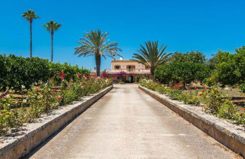 Villa Darder , Sa garriga - Foto 29