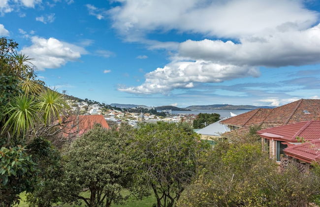 Serpentine Rose - Photo 25