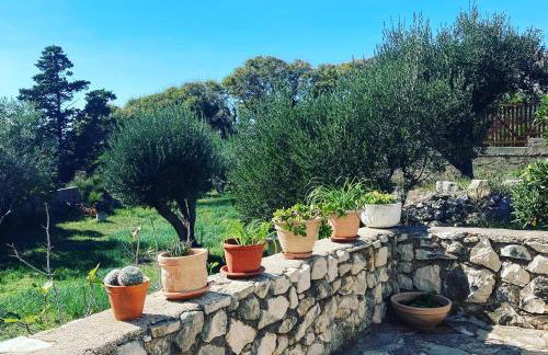 Villa Roseal - Foto 14