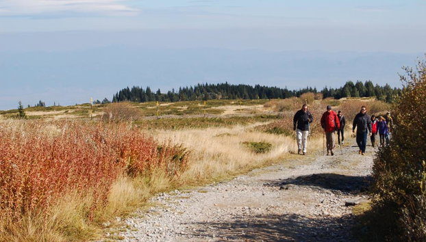Excursión de día completo - Montañas Vitosha y pico Cherni Vryh (2290 m) - Foto 2
