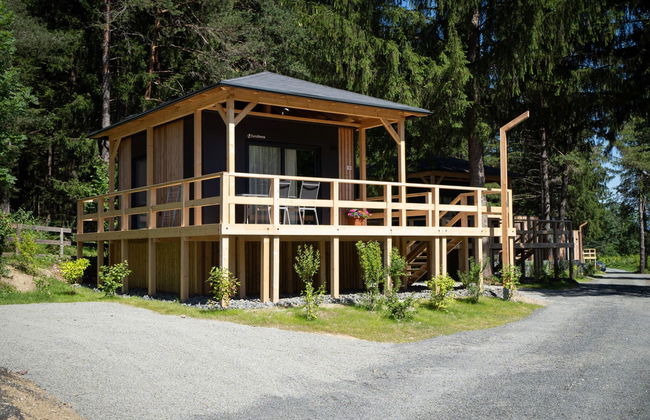 Edelweiss 2 - Foto 21