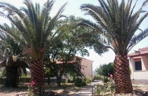 Anna Daniil Oasis Studios Skala Kallonis - Foto 40